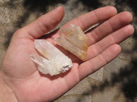 Natural Small Mixed Quartz Clusters  x 46 From Madagascar - TopRock