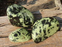 Polished Leopard Stone Free Forms  x 3 From Zimbabwe