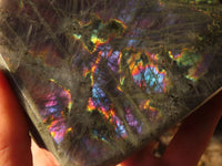 Polished Rare Purple Flash Labradorite Standing Free Forms x 2 From Tulear, Madagascar