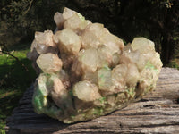 Natural Extra Large Malachite Infused Smokey Phantom Quartz Cluster x 1 From Congo - TopRock