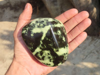 Polished Leopard Stone Free Forms  x 3 From Zimbabwe