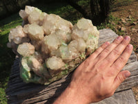 Natural Extra Large Malachite Infused Smokey Phantom Quartz Cluster x 1 From Congo - TopRock