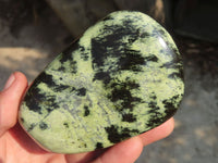 Polished Leopard Stone Free Forms  x 3 From Zimbabwe