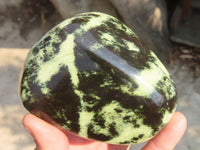 Polished Leopard Stone Free Forms  x 3 From Zimbabwe