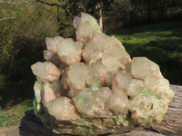 Natural Extra Large Malachite Infused Smokey Phantom Quartz Cluster x 1 From Congo - TopRock