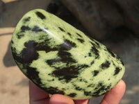 Polished Leopard Stone Free Forms  x 3 From Zimbabwe