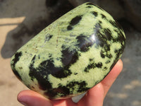 Polished Leopard Stone Free Forms  x 3 From Zimbabwe