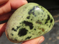 Polished Leopard Stone Free Forms  x 3 From Zimbabwe