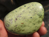 Polished Leopard Stone Free Forms  x 3 From Zimbabwe