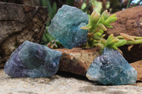 Natural Selected Cobbed Small Watermelon Fluorite Pieces - sold per 2 Kg - From Uis, Namibia - TopRock