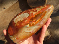 Polished Polychrome / Picasso Jasper Display Piece  x 1 From Mahajanga, Madagascar - Toprock Gemstones and Minerals 