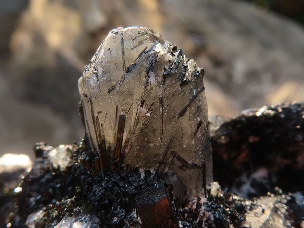 Natural Schorl Black Tourmaline Specimen With Quartz Crystals  x 1 From Erongo, Namibia