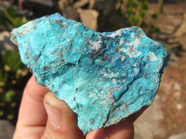 Natural Rough Shattuckite Cobbed Specimens x 12 From Kaokoveld, Namibia