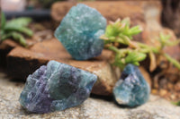 Natural Selected Cobbed Small Watermelon Fluorite Pieces - sold per 2 Kg - From Uis, Namibia - TopRock