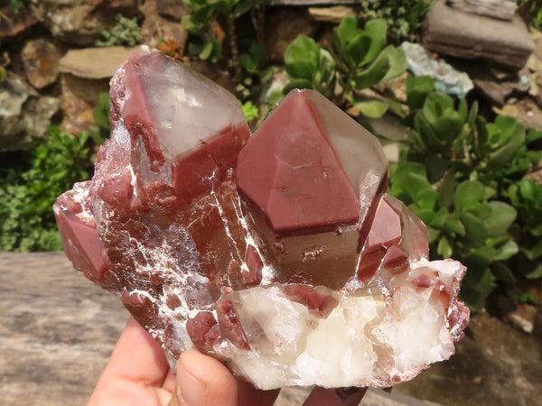 Natural Red Hematoid Phantom Quartz Clusters  x 2 From Karoi, Zimbabwe - TopRock