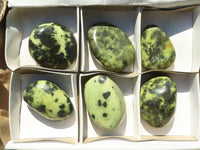 Polished Extra Large Leopard Stone Gallets  x 6 From Zimbabwe - TopRock