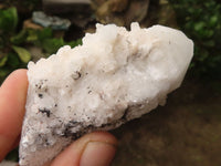 Natural Pineapple Candle Quartz Crystals x 12 From Madagascar - TopRock