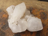 Natural Pineapple Candle Quartz Crystals x 12 From Madagascar - TopRock