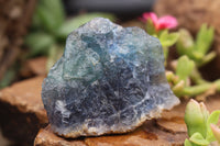 Natural Selected Cobbed Small Watermelon Fluorite Pieces - sold per 2 Kg - From Uis, Namibia - TopRock