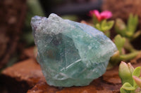 Natural Selected Cobbed Small Watermelon Fluorite Pieces - sold per 2 Kg - From Uis, Namibia - TopRock