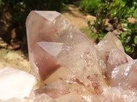 Natural Red Hematoid Phantom Quartz Clusters  x 2 From Karoi, Zimbabwe - TopRock