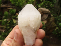 Natural Pineapple Candle Quartz Crystals x 12 From Madagascar - TopRock