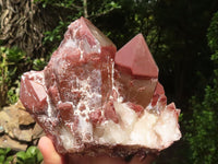 Natural Red Hematoid Phantom Quartz Clusters  x 2 From Karoi, Zimbabwe - TopRock