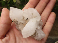 Natural Pineapple Candle Quartz Crystals x 12 From Madagascar - TopRock