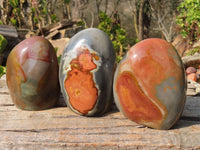 Polished Polychrome Jasper Standing Free Forms  x 3 From Madagascar