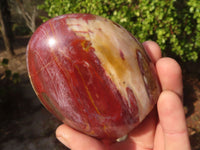 Polished Petrified Podocarpus Wood Standing Free Forms x 6 From Mahajanga, Madagascar