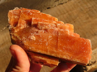 Natural New Sunset Orange Calcite Specimens  x 4 From Spitzkop, Namibia