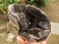 Polished Septerye Sauvage "Dragons Egg" Geode  x 1 From Mahajanga, Madagascar - TopRock