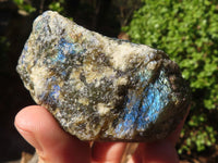 Natural Small Rough Labradorite Cobbed Pieces  x 35 From Tulear, Madagascar - Toprock Gemstones and Minerals 