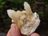 Natural Small Mixed Spirit Quartz Clusters  x 24 From Boekenhouthoek, South Africa - Toprock Gemstones and Minerals 