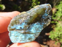 Natural Small Rough Labradorite Cobbed Pieces  x 35 From Tulear, Madagascar - Toprock Gemstones and Minerals 