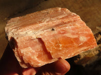 Natural New Sunset Orange Calcite Specimens  x 4 From Spitzkop, Namibia