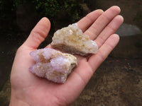 Natural Small Mixed Spirit Quartz Clusters  x 24 From Boekenhouthoek, South Africa - Toprock Gemstones and Minerals 