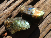 Natural Small Rough Labradorite Cobbed Pieces  x 35 From Tulear, Madagascar - Toprock Gemstones and Minerals 