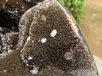 Polished Septerye Sauvage "Dragons Egg" Geode  x 1 From Mahajanga, Madagascar - TopRock