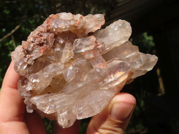 Natural Clear Quartz Crystal Specimens  x 6 From Zambia - TopRock