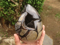 Polished Septerye Sauvage "Dragons Egg" Geode  x 1 From Mahajanga, Madagascar - TopRock