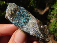 Natural Small Rough Labradorite Cobbed Pieces  x 35 From Tulear, Madagascar - Toprock Gemstones and Minerals 