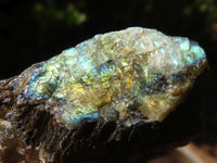 Natural Small Rough Labradorite Cobbed Pieces  x 35 From Tulear, Madagascar - Toprock Gemstones and Minerals 