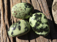 Polished Spotted Leopard Stone Gallets  x 6 From Zimbabwe - Toprock Gemstones and Minerals 