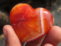 Polished Carnelian Agate Hearts  x 12 From Madagascar