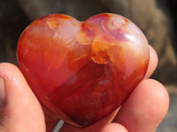 Polished Carnelian Agate Hearts  x 12 From Madagascar