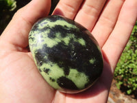 Polished Spotted Leopard Stone Gallets  x 6 From Zimbabwe - Toprock Gemstones and Minerals 