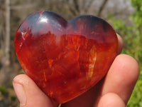 Polished Carnelian Agate Hearts  x 12 From Madagascar