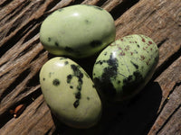 Polished Spotted Leopard Stone Gallets  x 6 From Zimbabwe - Toprock Gemstones and Minerals 