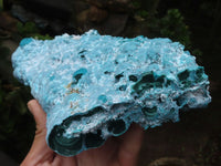 Natural Blue Chrysocolla On Silky Malachite Matrix Specimen x 1 From Kulukuluku, Congo - Toprock Gemstones and Minerals 